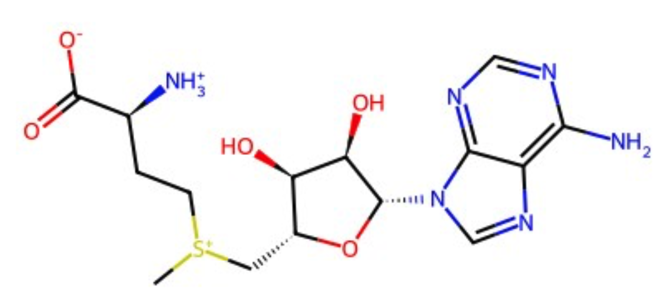 Substrate molecule